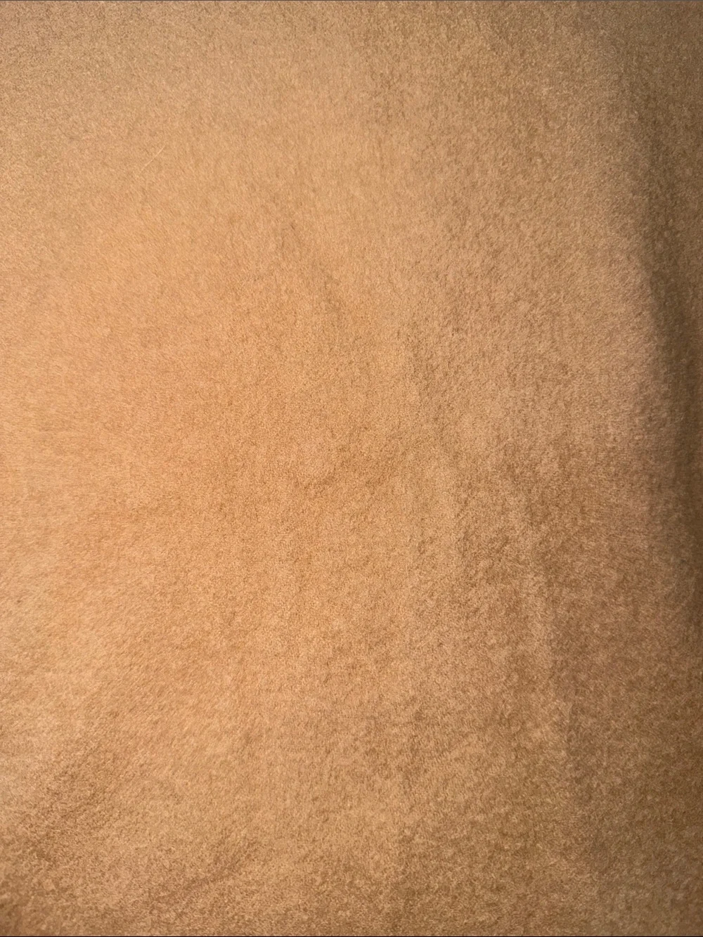 Soft Fringe Long Scarf in Light Camel